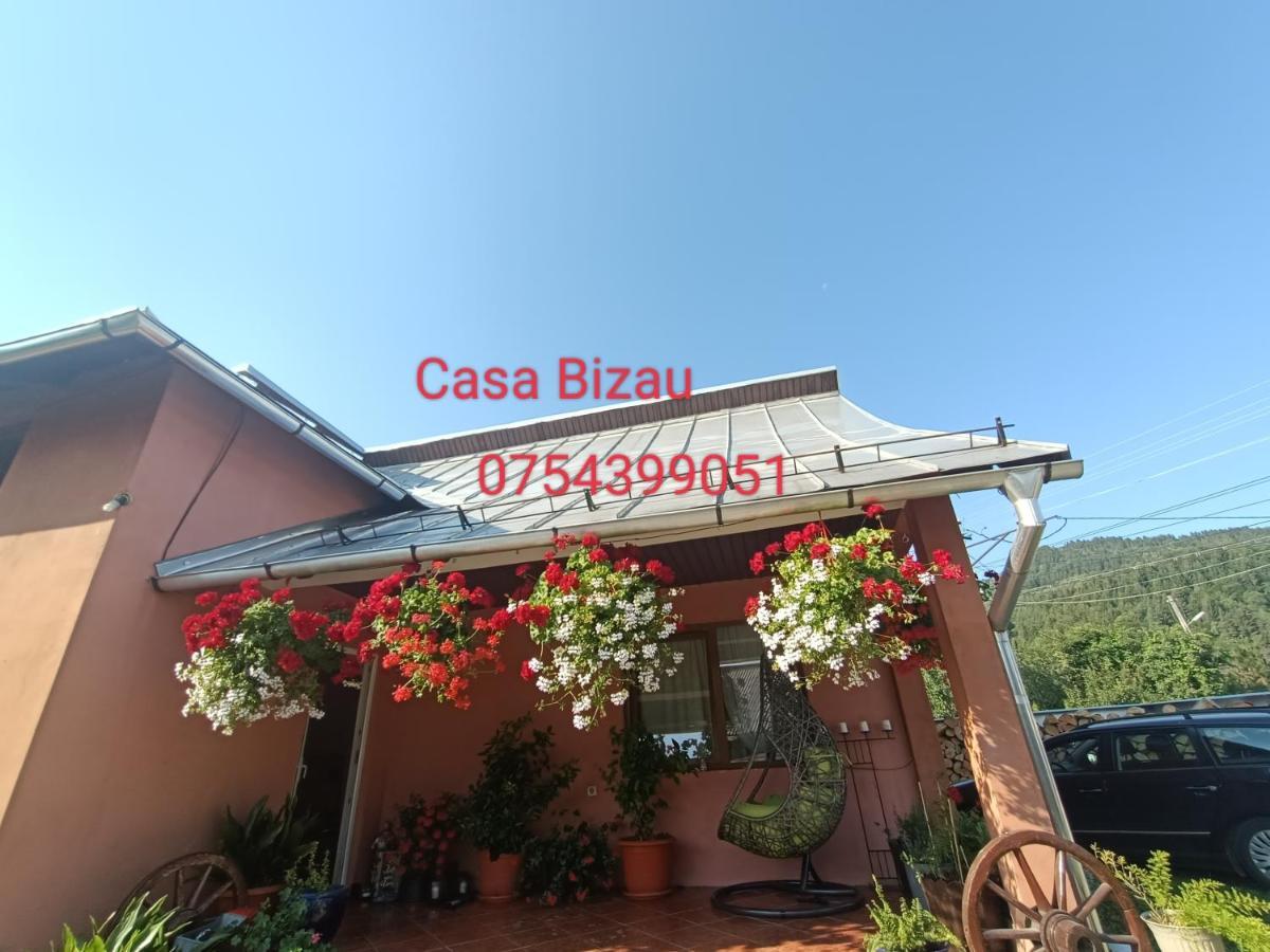 Casa Bizau Hotel Viseu de Mijloc Eksteriør billede